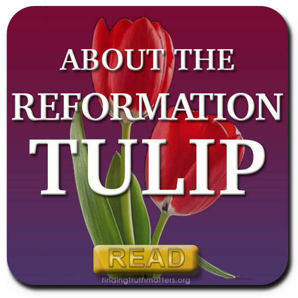 TULIP, The Essence of The Reformation